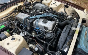 Datsun-280-ZX-1982-24