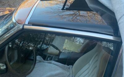 Datsun 280zx  1981 brown