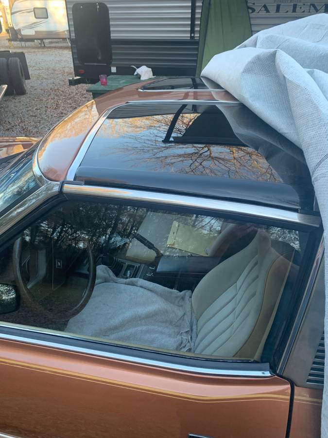 Datsun 280zx  1981 brown