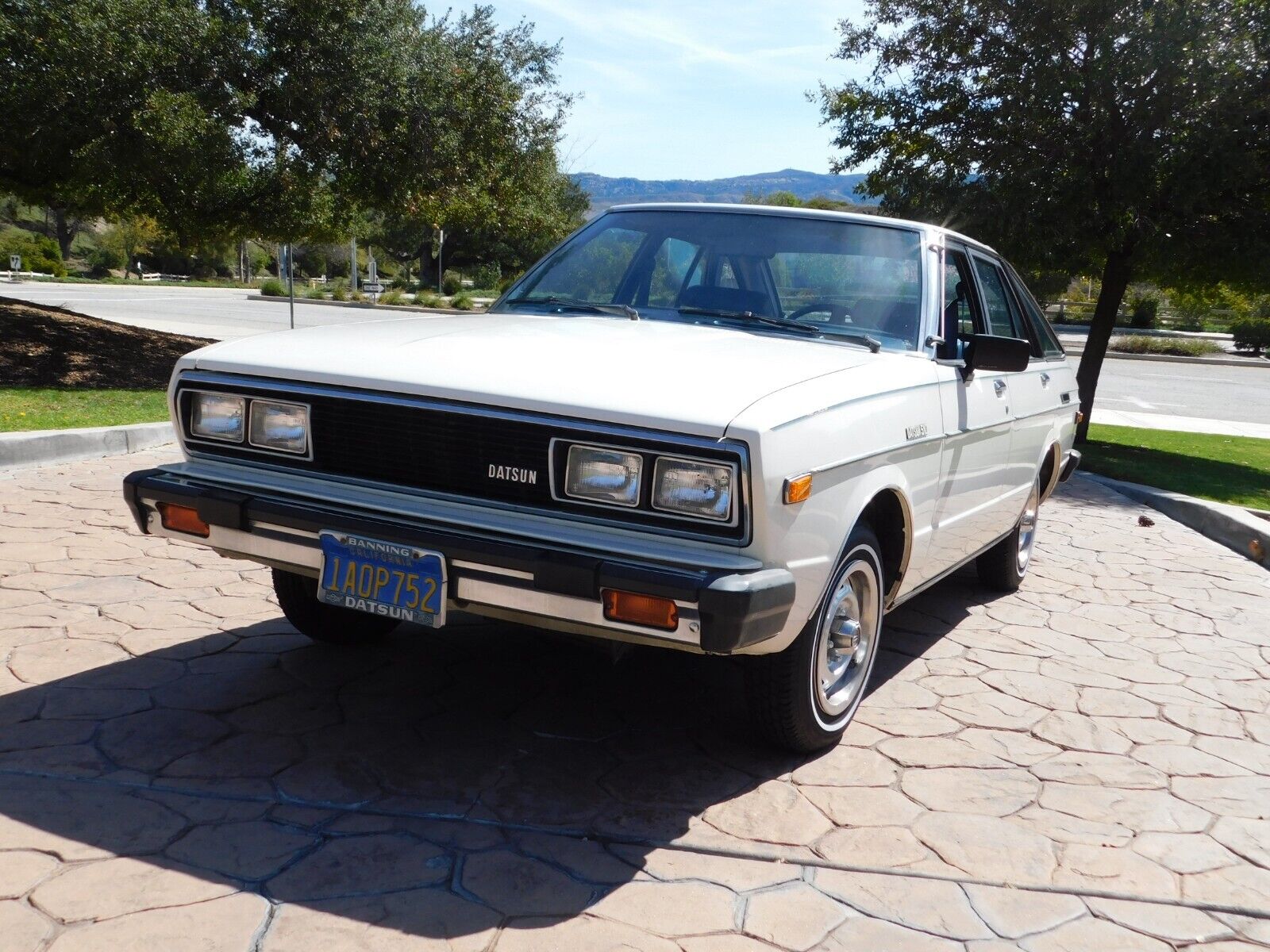 Datsun-510-1980-Hatchback-2