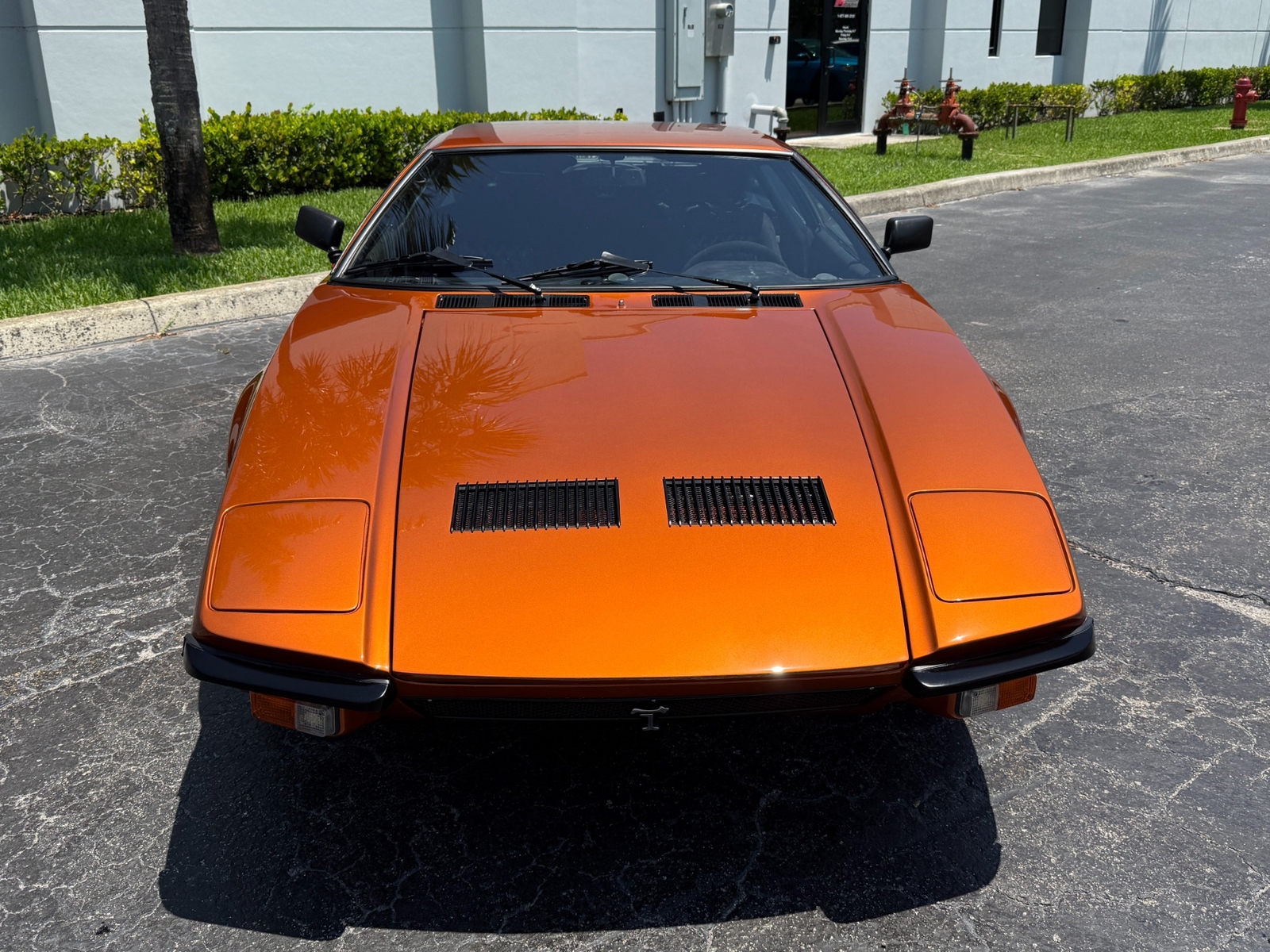 De-Tomaso-Pantera-1974-17