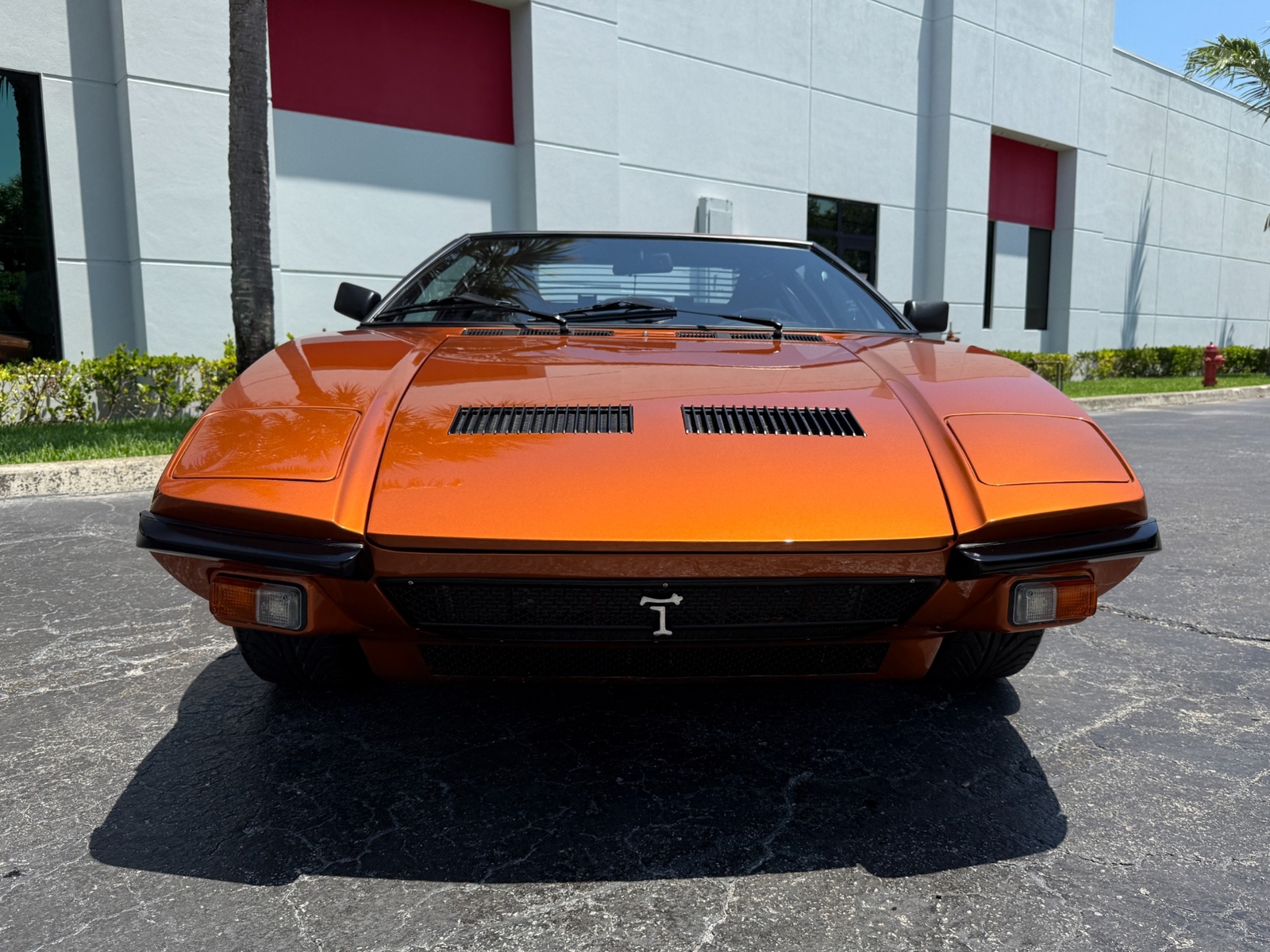 De-Tomaso-Pantera-1974-5