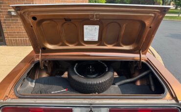 Dodge-Challenger-1970-Coupe-22