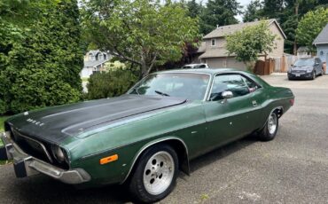 Dodge-Challenger-1973-Coupe-12