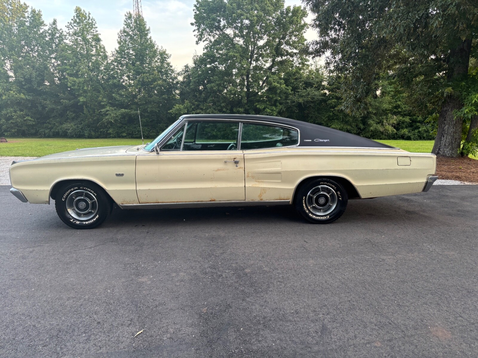 Dodge-Charger-1967-1