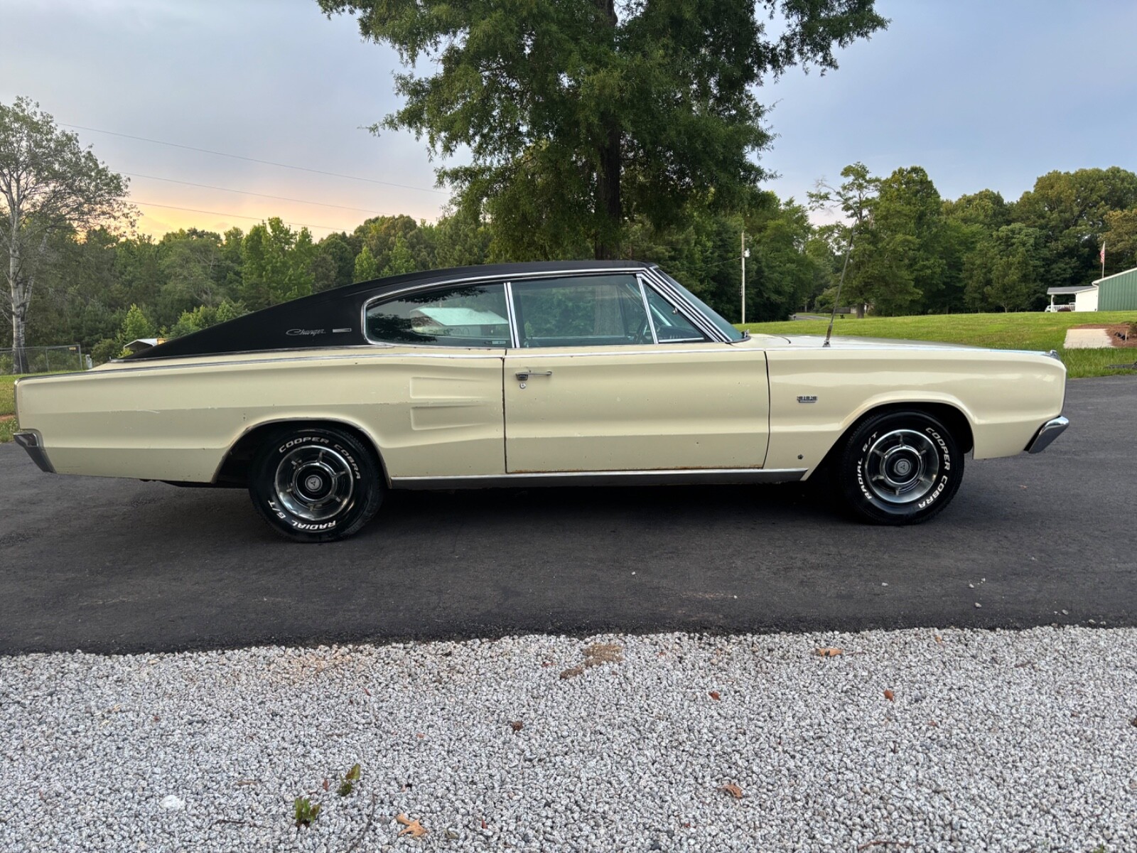 Dodge-Charger-1967-11