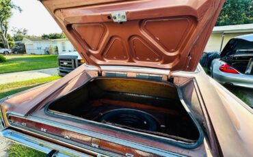 Dodge-Charger-1967-Fastback-17