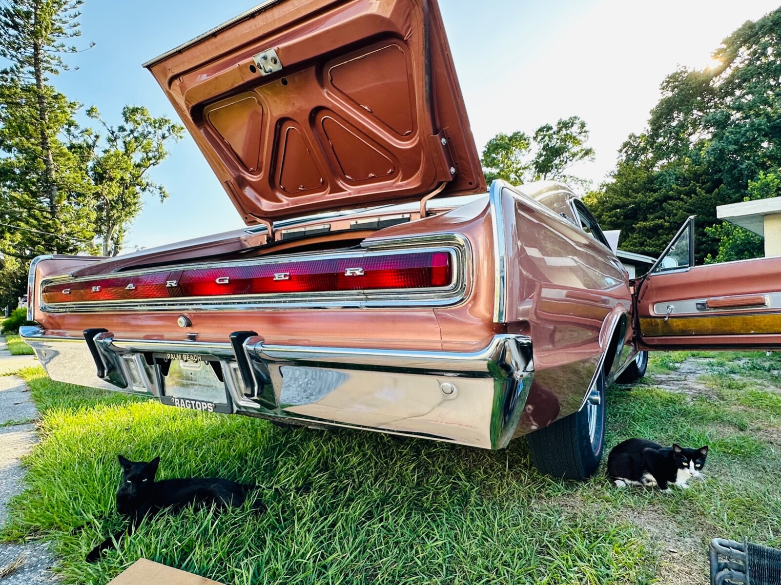 Dodge-Charger-1967-Fastback-24