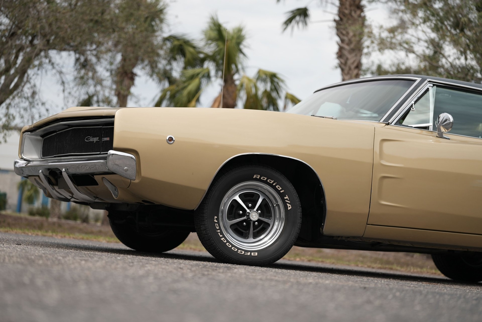 Dodge-Charger-1968-Other-18