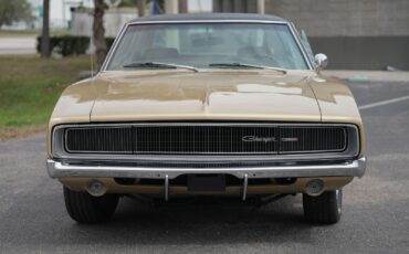 Dodge-Charger-1968-Other-21