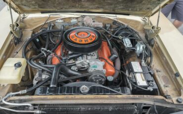 Dodge-Charger-1968-Other-4