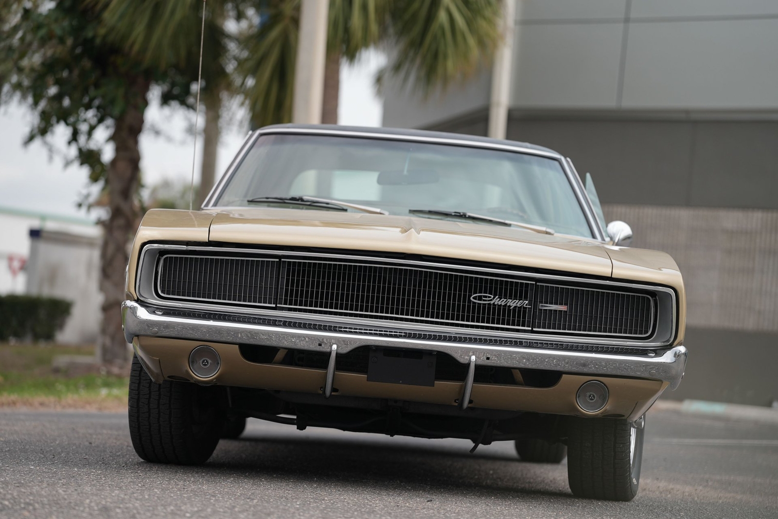 Dodge-Charger-1968-Other-6