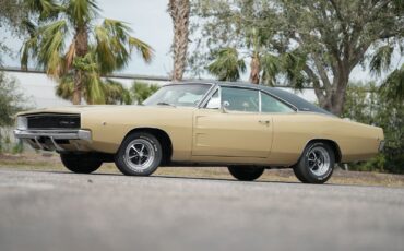 Dodge-Charger-1968-Other-8