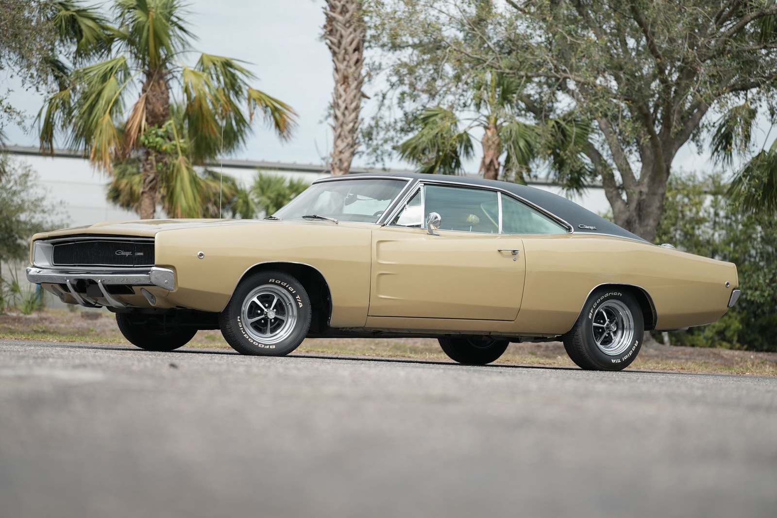 Dodge-Charger-1968-Other-8
