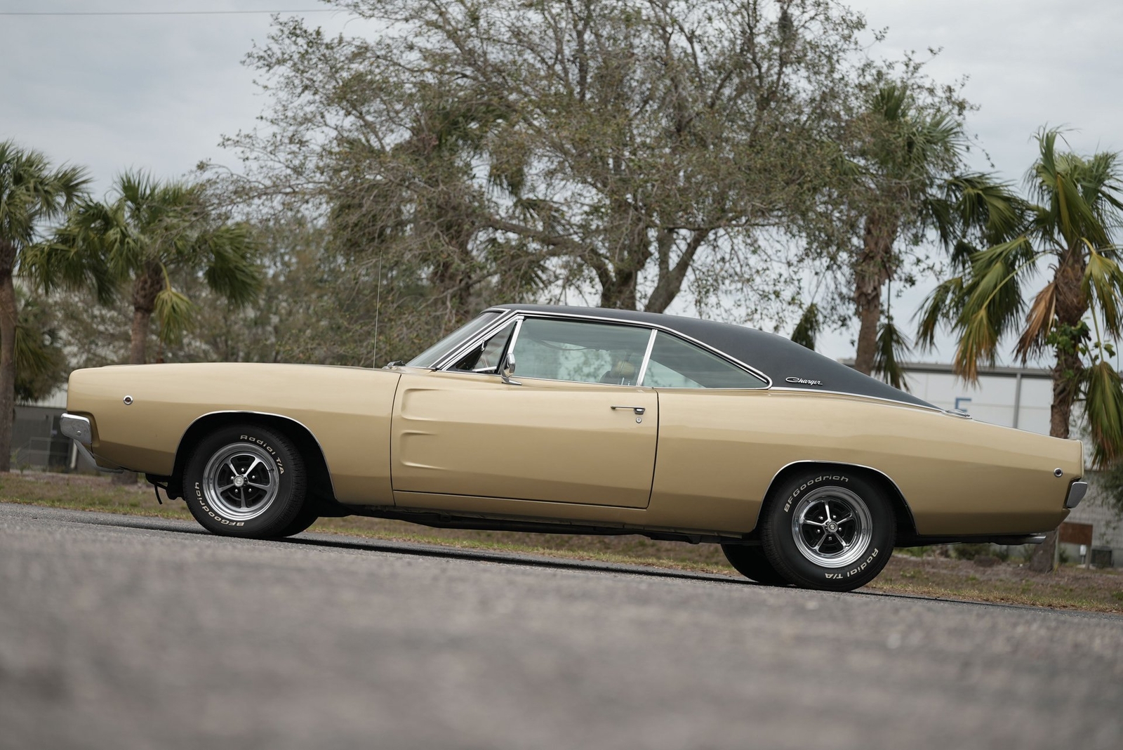 Dodge-Charger-1968-Other-9