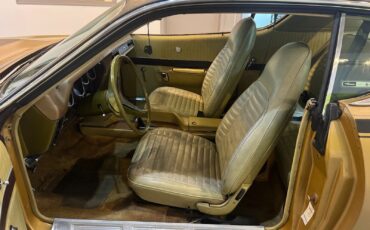 Dodge-Charger-1971-Coupe-15