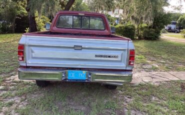Dodge-D-Series-1985-8