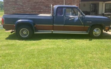 Dodge-D-series-diesel-1992-blue-2