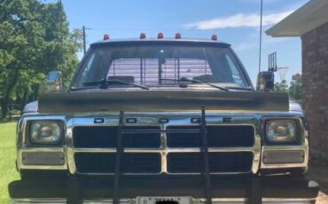 Dodge-D-series-diesel-1992-blue-6