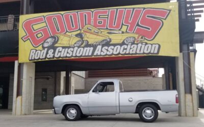 Dodge D100  1974 grey