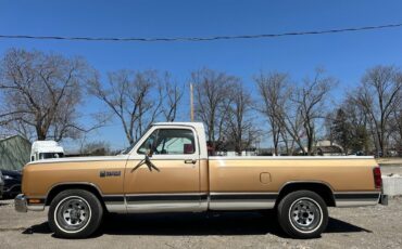 Dodge-D100-Series-1987-1