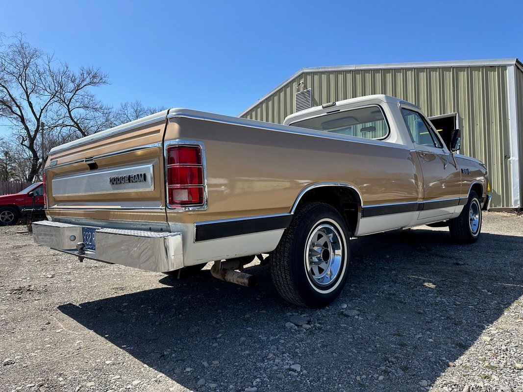 Dodge-D100-Series-1987-15