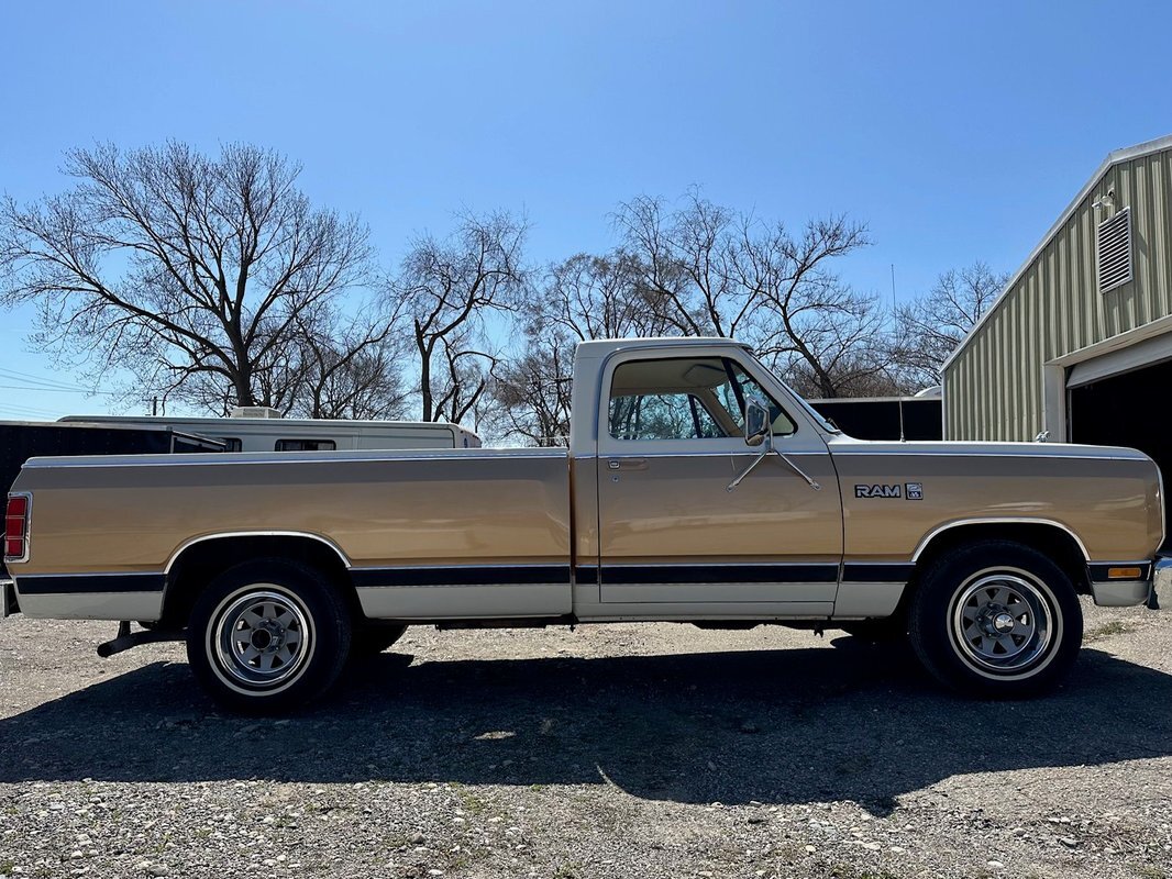 Dodge-D100-Series-1987-16