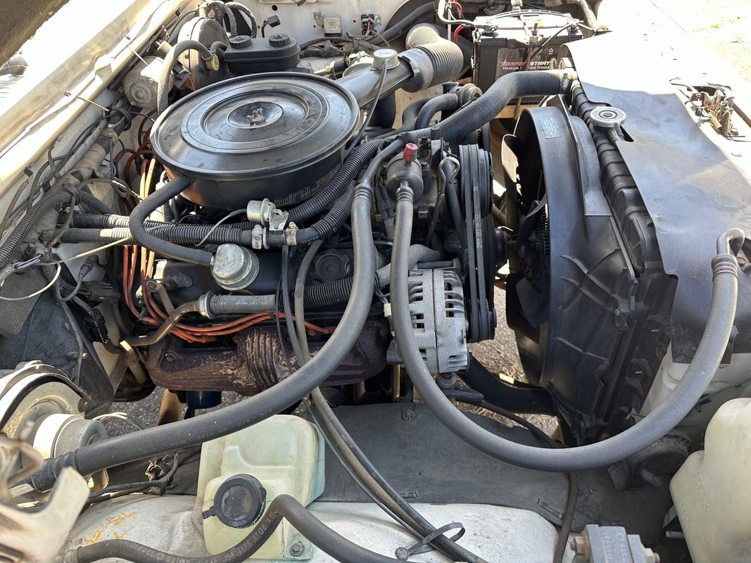 Dodge-D100-Series-1987-21