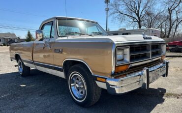 Dodge-D100-Series-1987-3