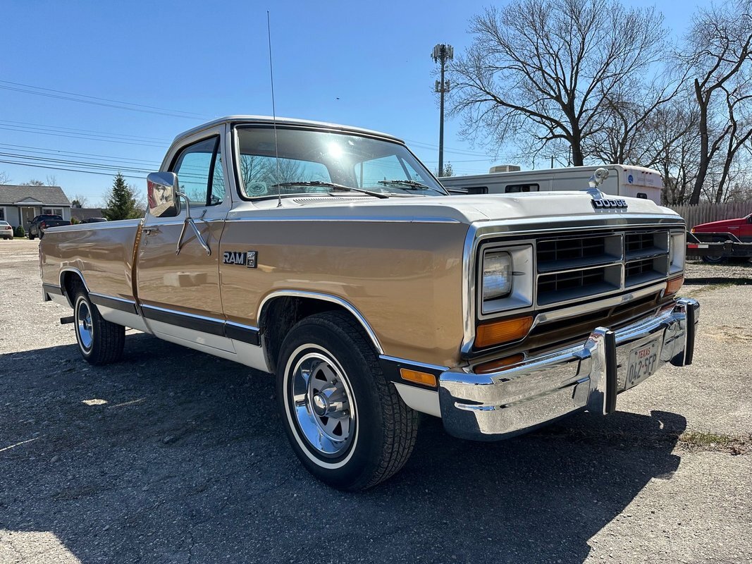 Dodge-D100-Series-1987-3