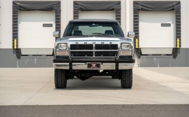 Dodge-D250-W250-1993-Pickup-Truck-14