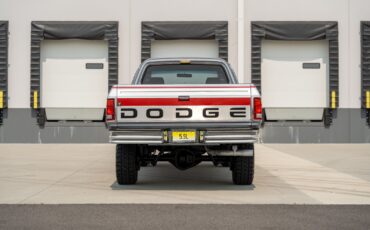 Dodge-D250-W250-1993-Pickup-Truck-21