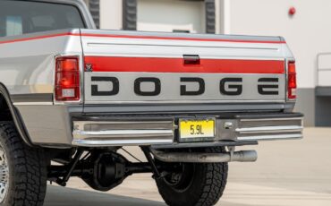 Dodge-D250-W250-1993-Pickup-Truck-24