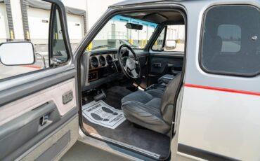 Dodge-D250-W250-1993-Pickup-Truck-28