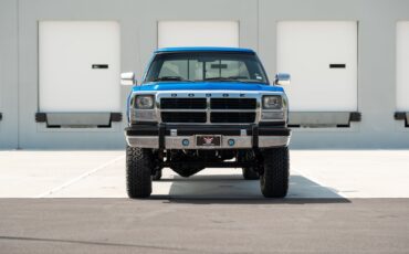 Dodge-D250-W250-1993-Pickup-Truck-3