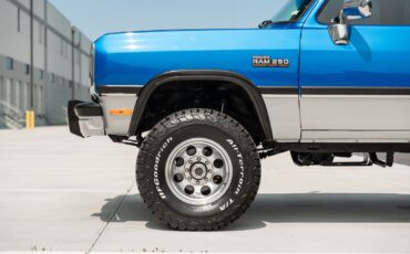 Dodge-D250-W250-1993-Pickup-Truck-33