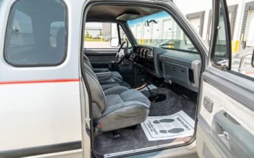 Dodge-D250-W250-1993-Pickup-Truck-34