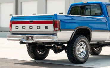 Dodge-D250-W250-1993-Pickup-Truck-38