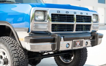 Dodge-D250-W250-1993-Pickup-Truck-8