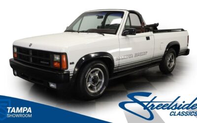 Dodge Dakota 1989 Pickup Truck