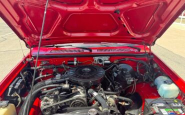 Dodge-Dakota-1989-red-19