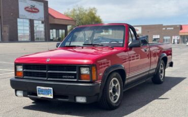 Dodge-Dakota-1989-red-5