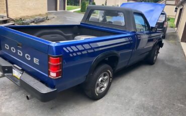 Dodge-Dakota-1990-Convertible-13