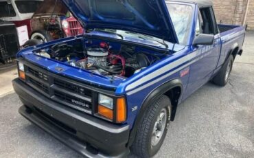 Dodge-Dakota-1990-Convertible-14