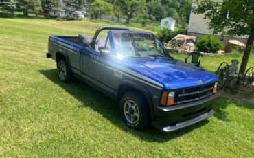 Dodge-Dakota-1990-Convertible-2