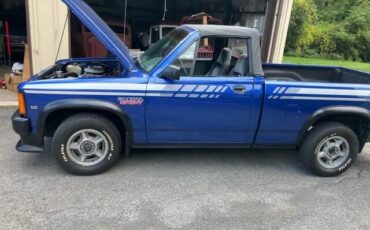 Dodge-Dakota-1990-Convertible-5