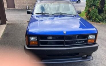 Dodge-Dakota-1990-Convertible-9