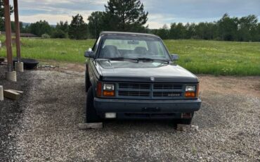Dodge-Dakota-sport-1990-black-5