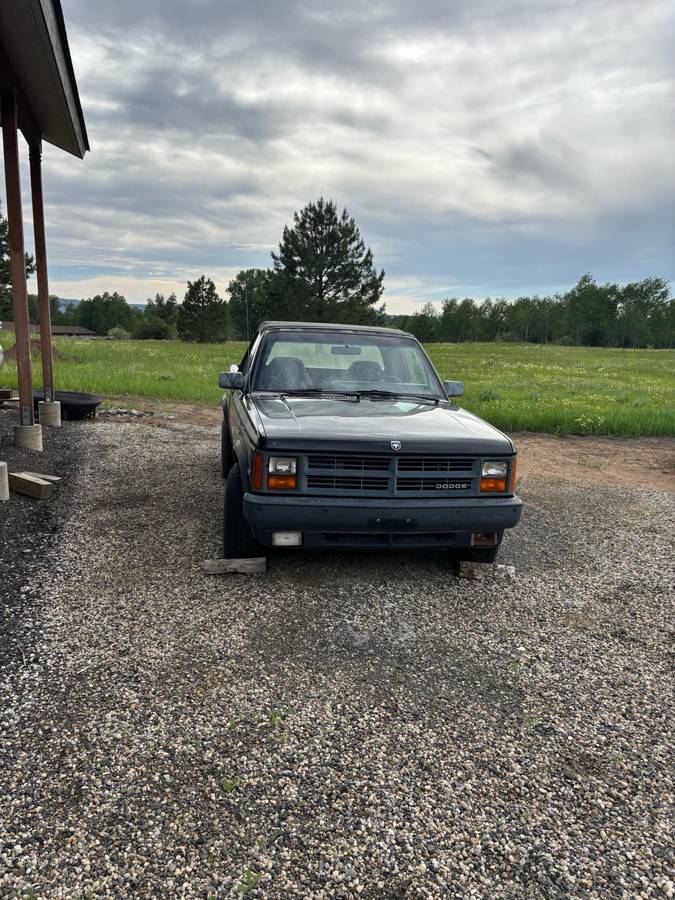 Dodge-Dakota-sport-1990-black-5