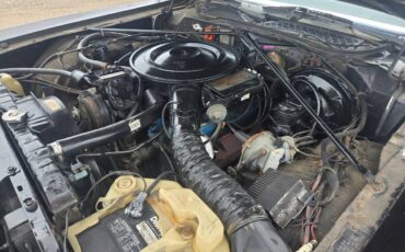 Dodge-Magnum-1978-black-19